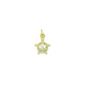 Clear CZ Cute Tortoise Charm Pendant, Sku#LD699