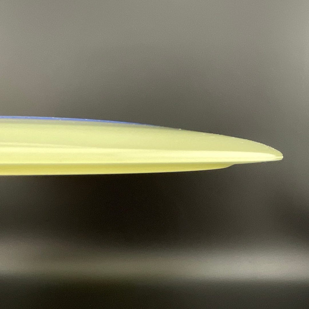 Proto Glow Champion Tern