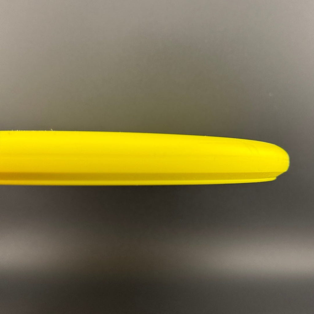 D-Line P2x (Flex 3) - Gannon Buhr Huk Lab Collaboration