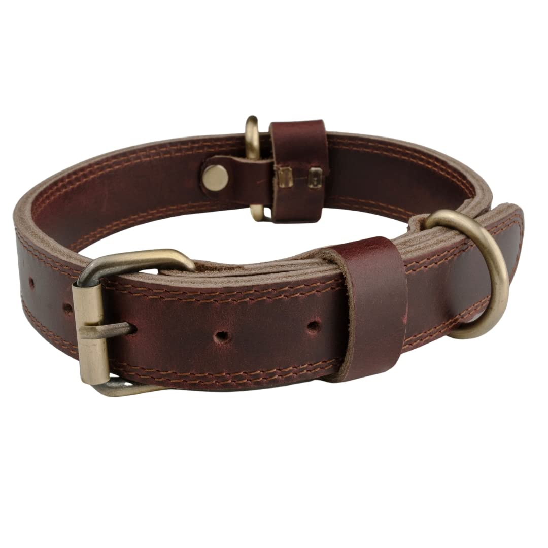 Collier en cuir Boston Leather Goods Collier pour chien robuste pour petits chiens, chiens de taille moyenne ou grands chiens (Taille M (14 po - 18 po) 1 po de large)