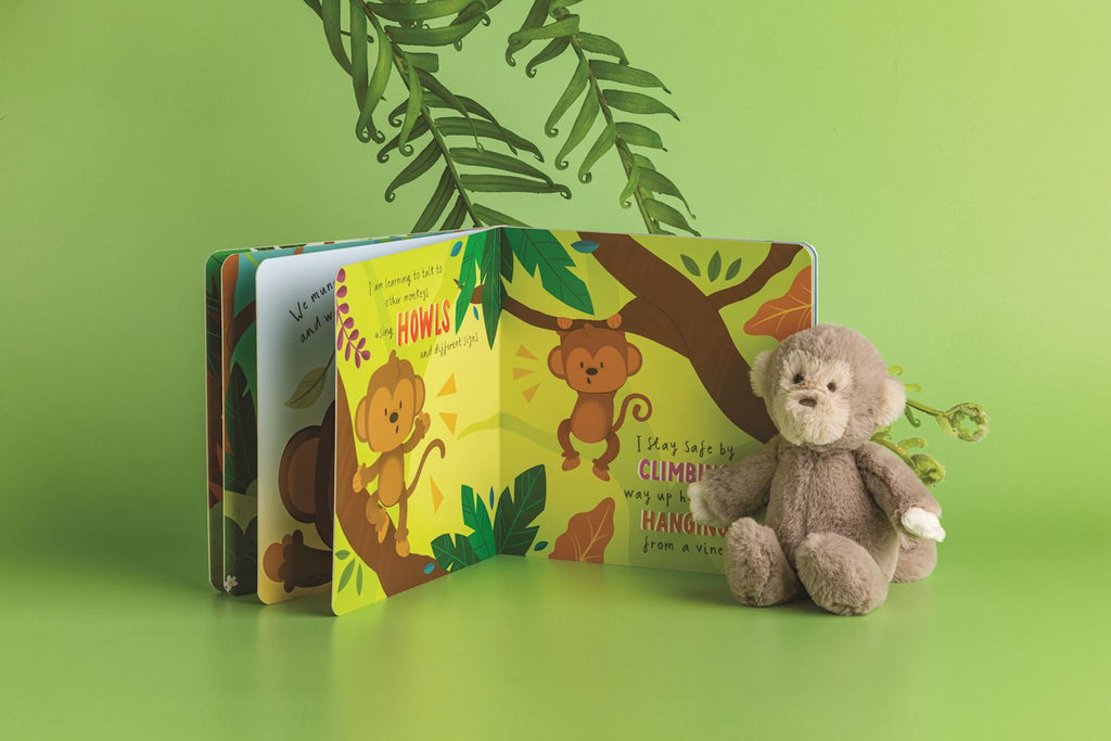 Felix The Monkey Book