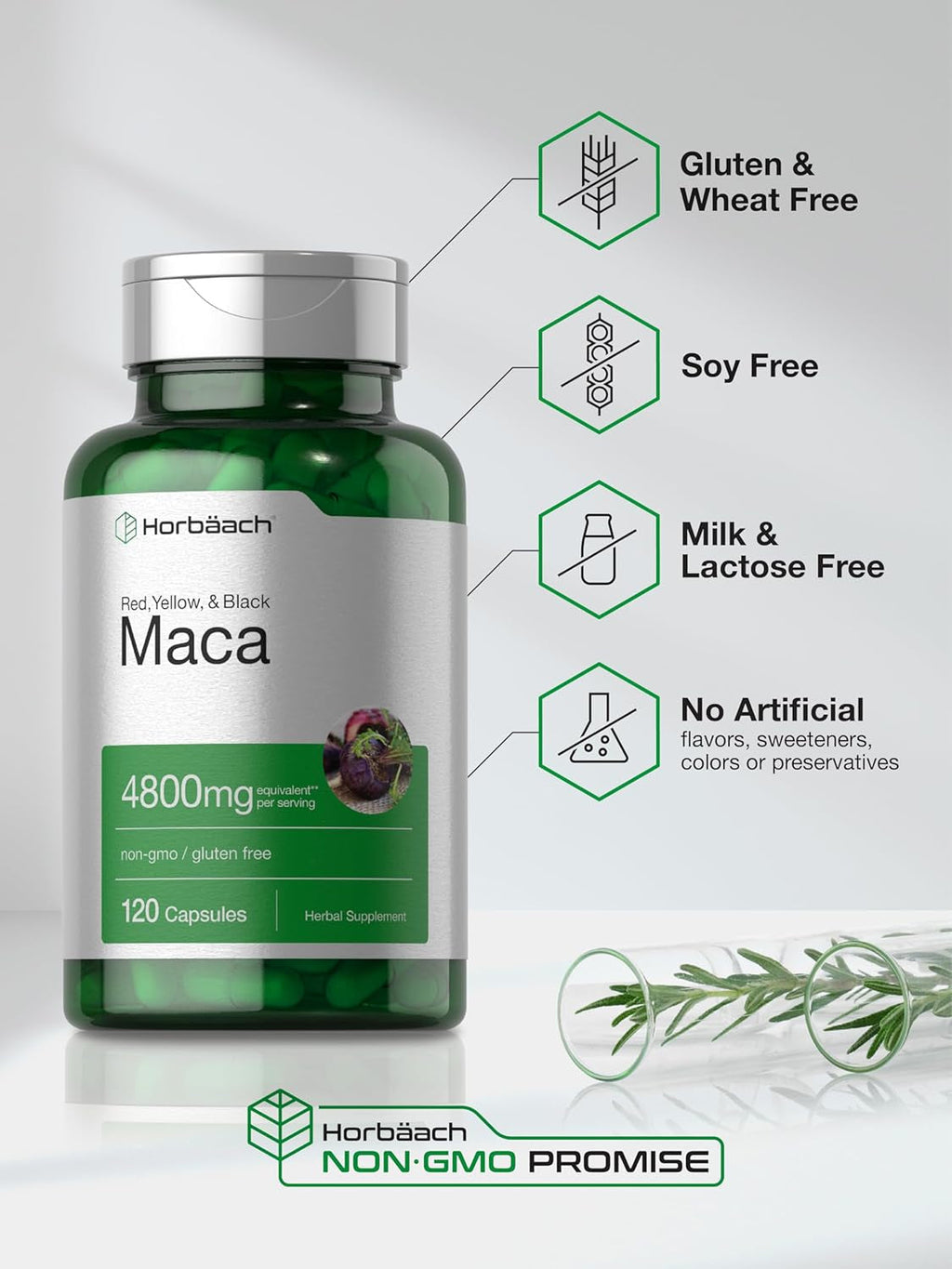 Maca Root Capsules for Men and Women | 120 Pills | High Potency Extract | Non-Gmo and Gluten Free Formula