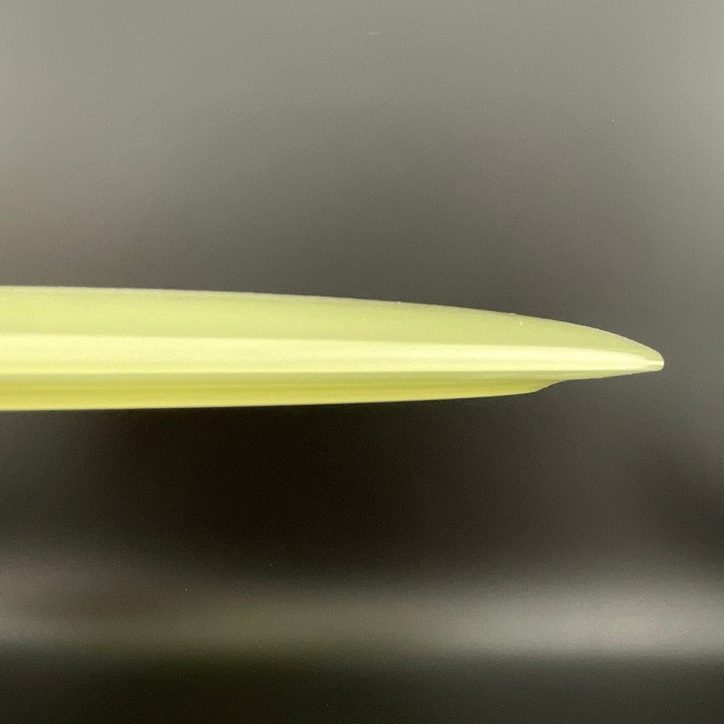 Proto Glow Champion Tern