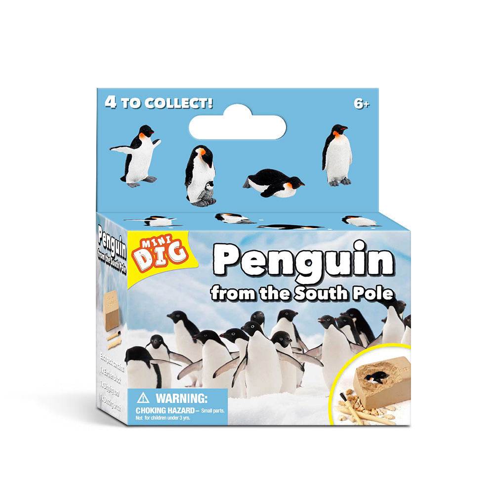 Kids Educational Exploration Toy