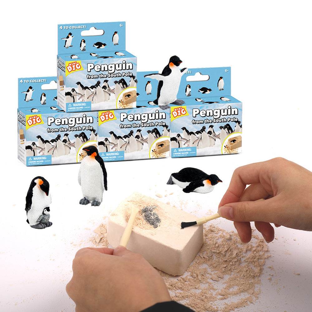 Kids Educational Exploration Toy