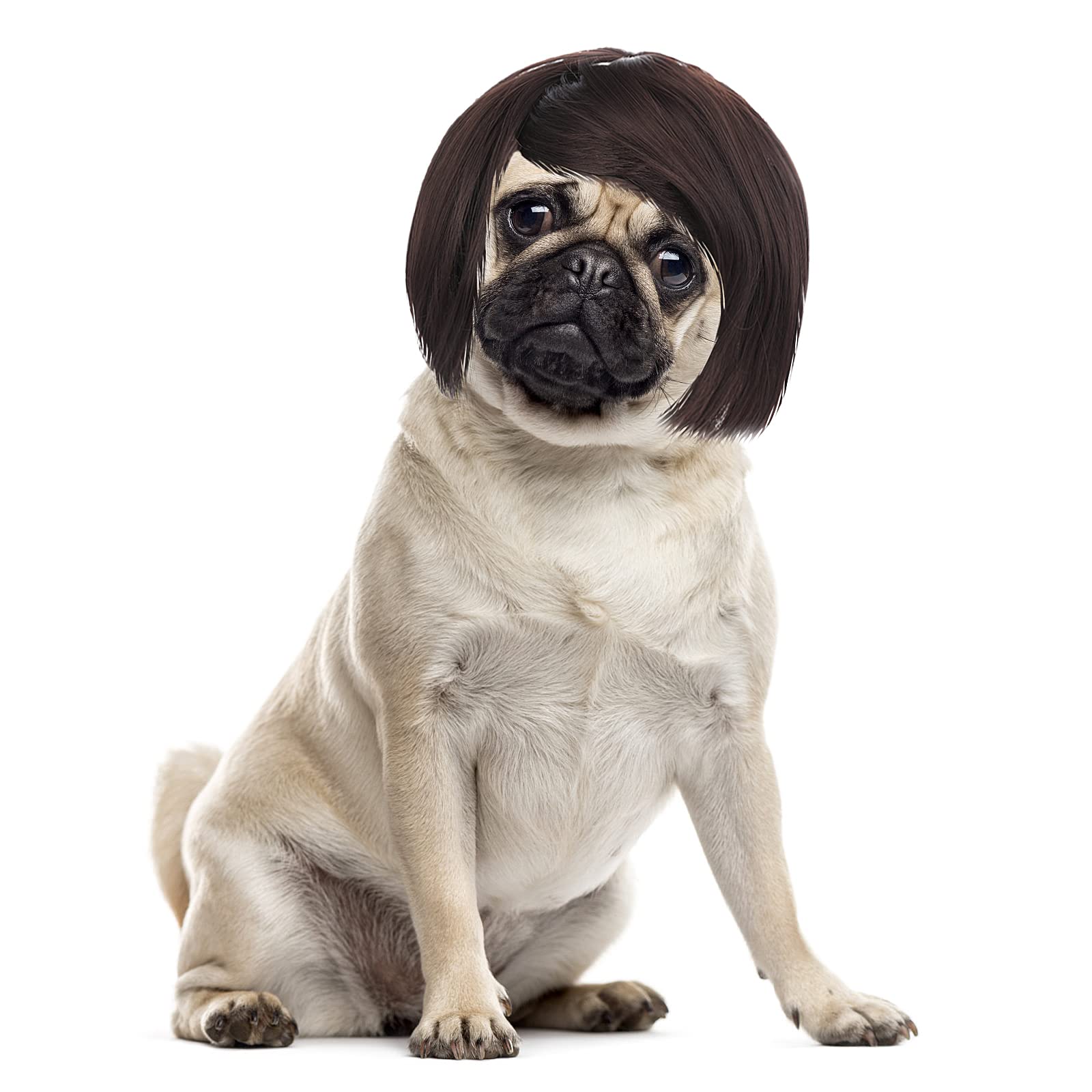 Cobee Perruque drôle pour chien et chat, perruque réglable pour animaux de compagnie, couvre-chef amusant pour petits, moyens et grands chiens et chats, déguisements pour Halloween, Noël, fêtes, festivals