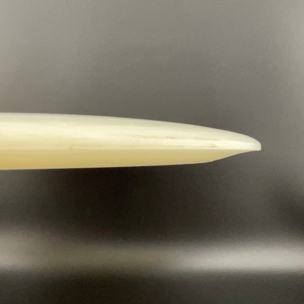 Forged Radiant Interval - Blank *Gibson Stash*