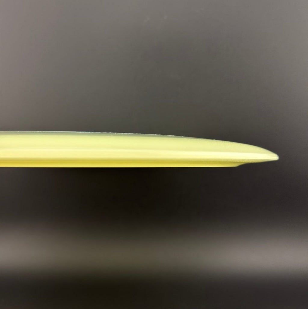Proto Glow Champion Tern