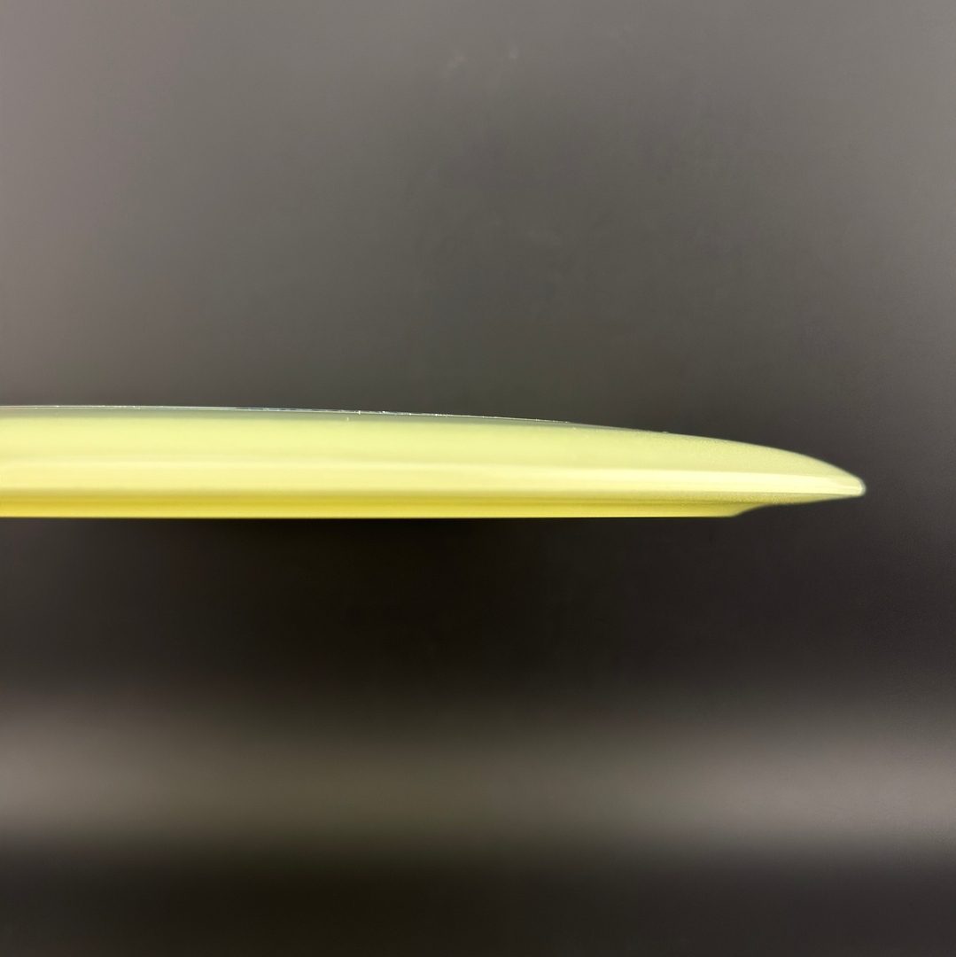 Proto Glow Champion Tern