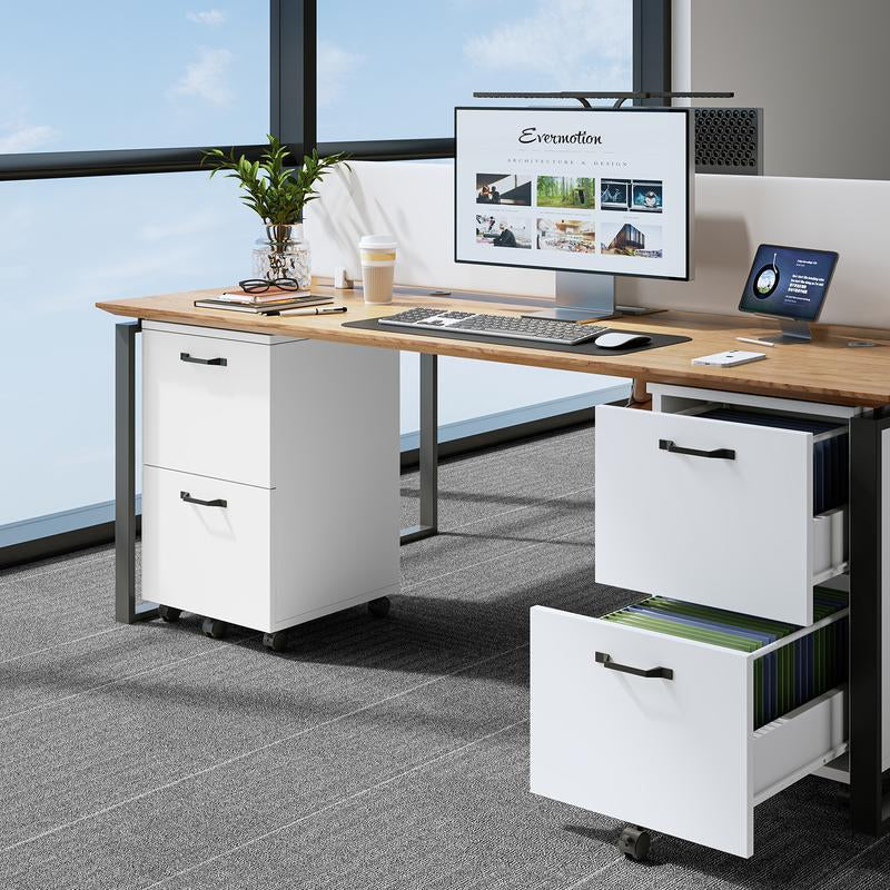 2-Drawer File Cabinet,Rolling File Cabinet with Locking Casters,2 Drawer Storage for A4 & Letter Size,Mobile Organizer for Home Office and Dorm Room