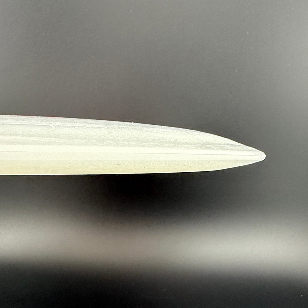Glow Egg Shell Pterodactyl