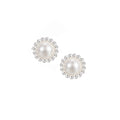 Allure Stud Earrings in Clear Crystal/Silver