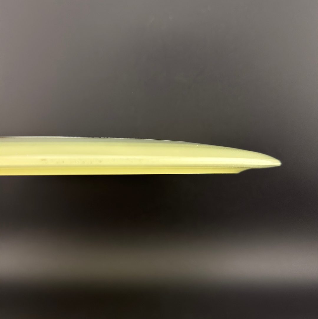 Proto Glow Champion Tern