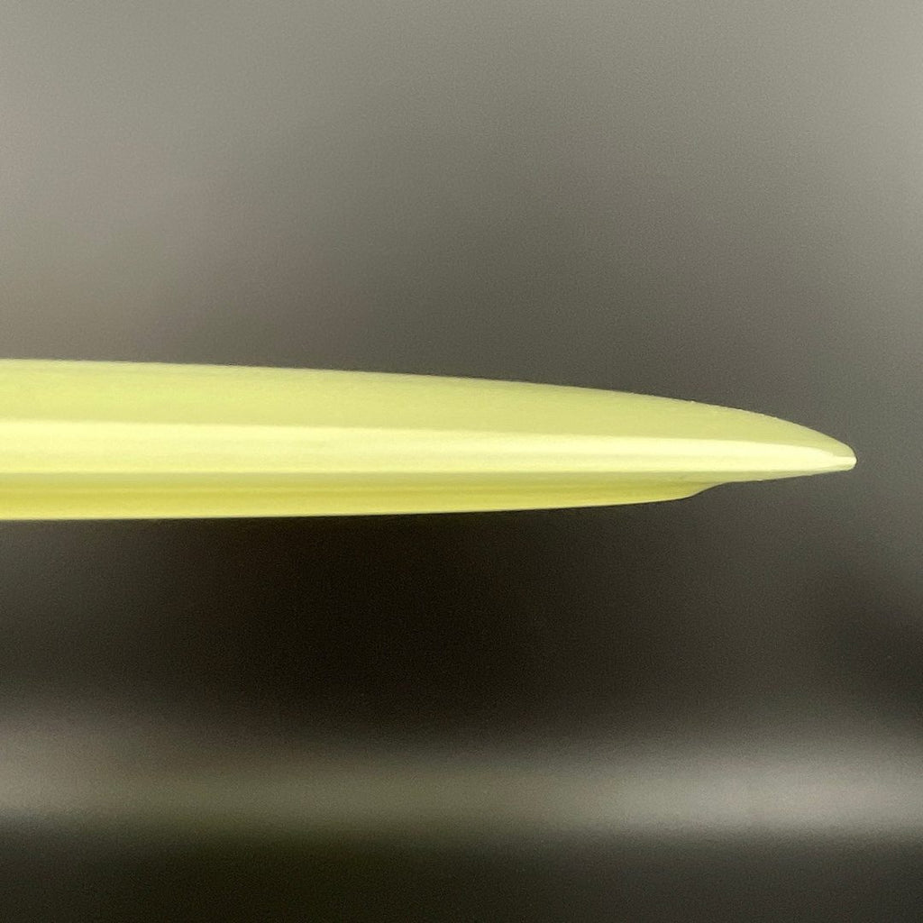Proto Glow Champion Tern