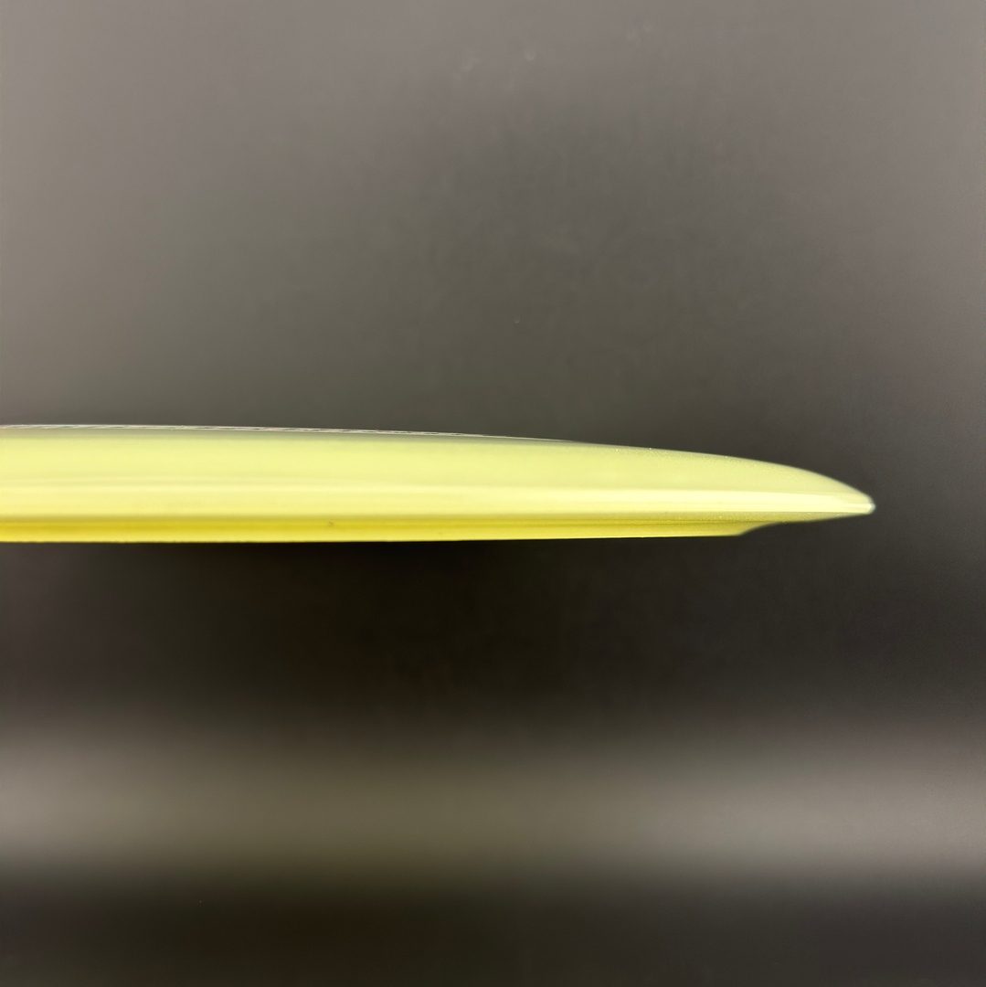 Proto Glow Champion Tern