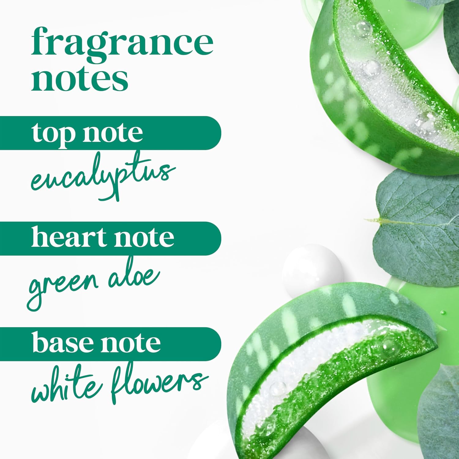 Gel douche Dove avec pompe Vivifiant Aloès & Eucalyptus pour une peau douce comme une lotion pendant 24h Nettoyant hydratant sans sulfates ni parabènes 907 g