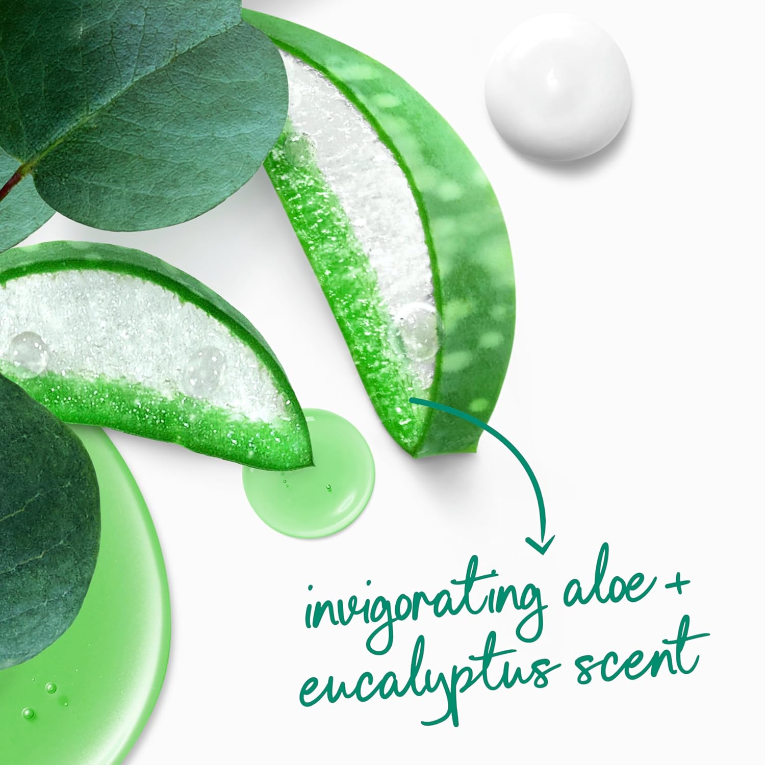 Gel douche Dove avec pompe Vivifiant Aloès & Eucalyptus pour une peau douce comme une lotion pendant 24h Nettoyant hydratant sans sulfates ni parabènes 907 g