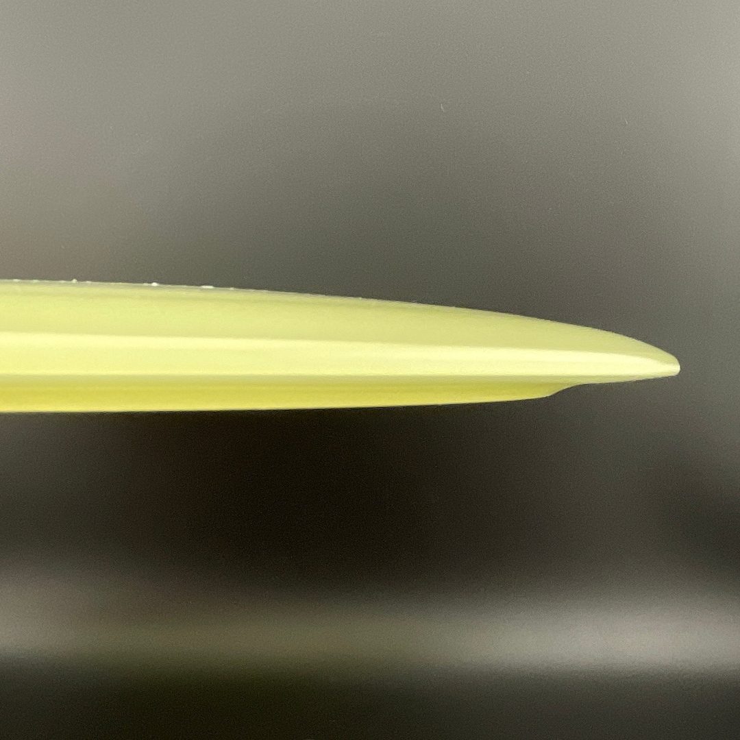 Proto Glow Champion Tern