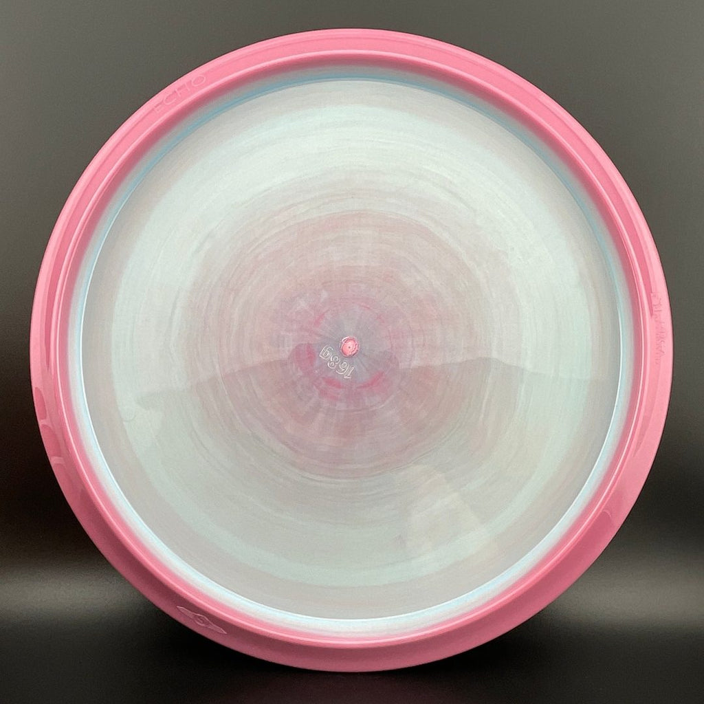 Neutron Echo