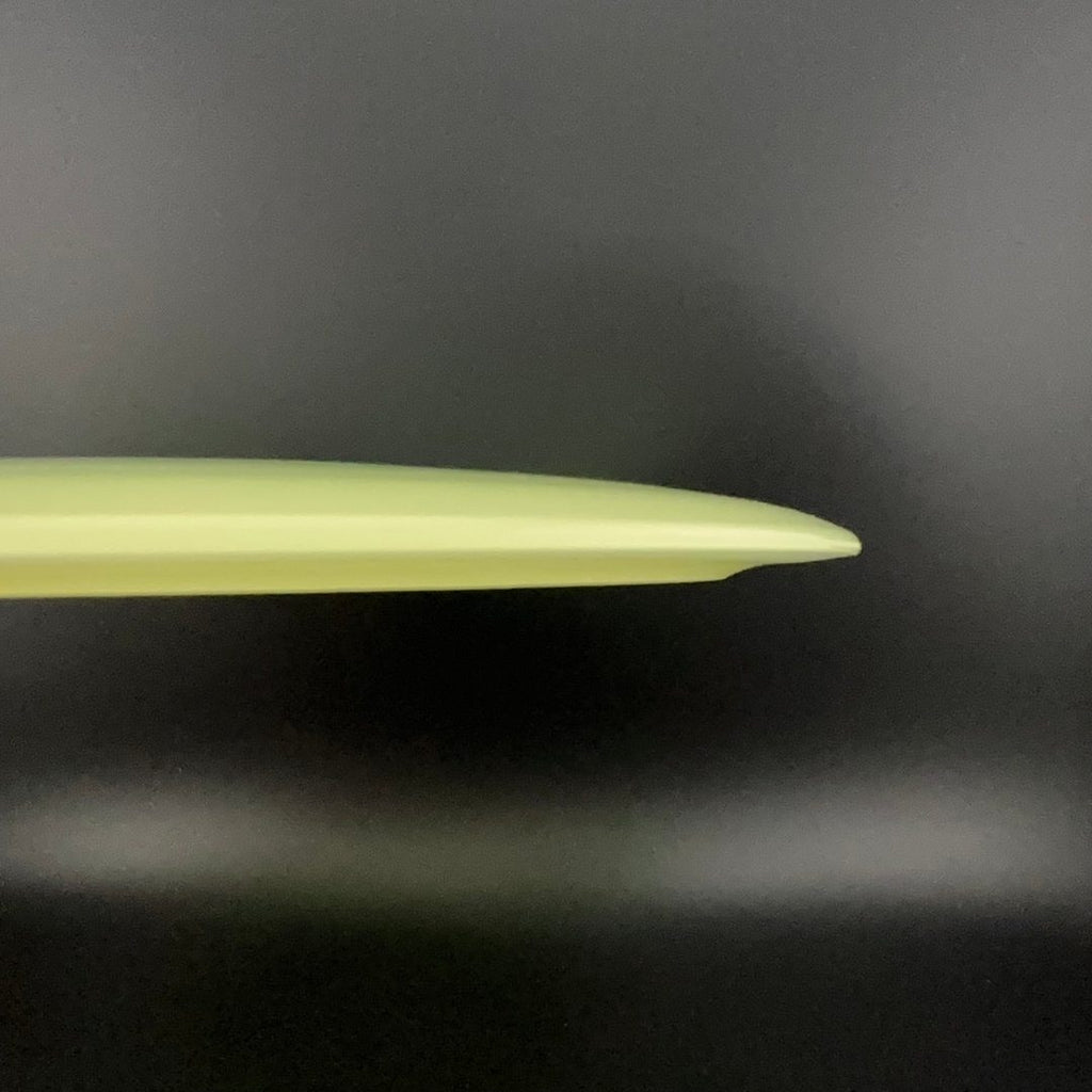 Proto Glow Champion Tern