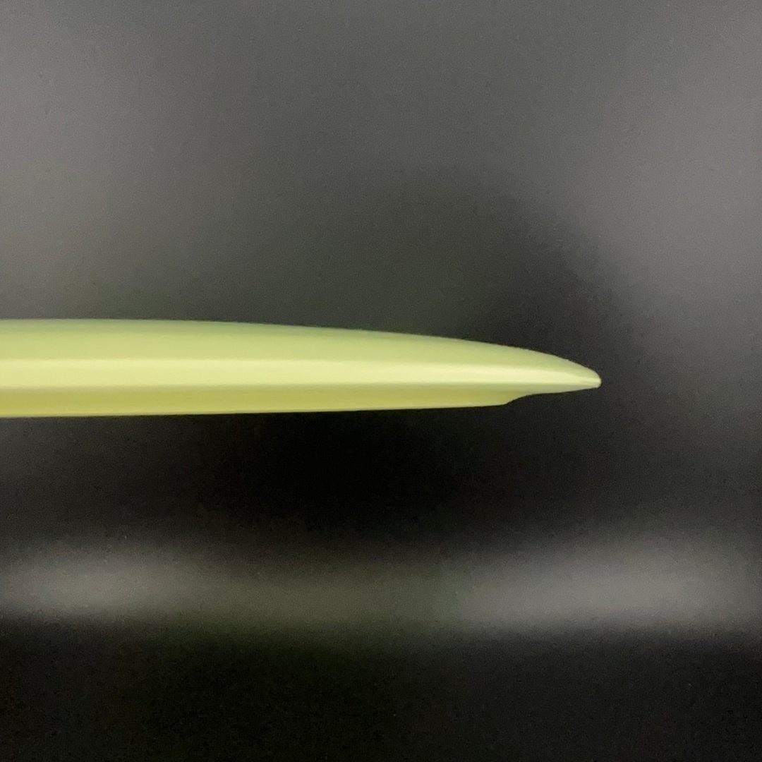Proto Glow Champion Tern
