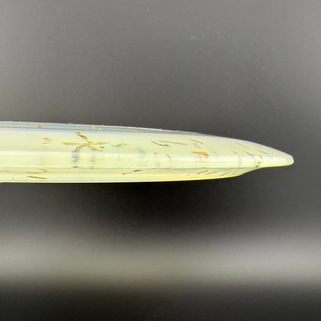 Z Money Captain's Thrasher - Missy Gannon 2025 Champions Cup