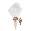 Coastal Seashell Napkin Rings – Beach Themed Nautilus & Terebra Shell Table Accents