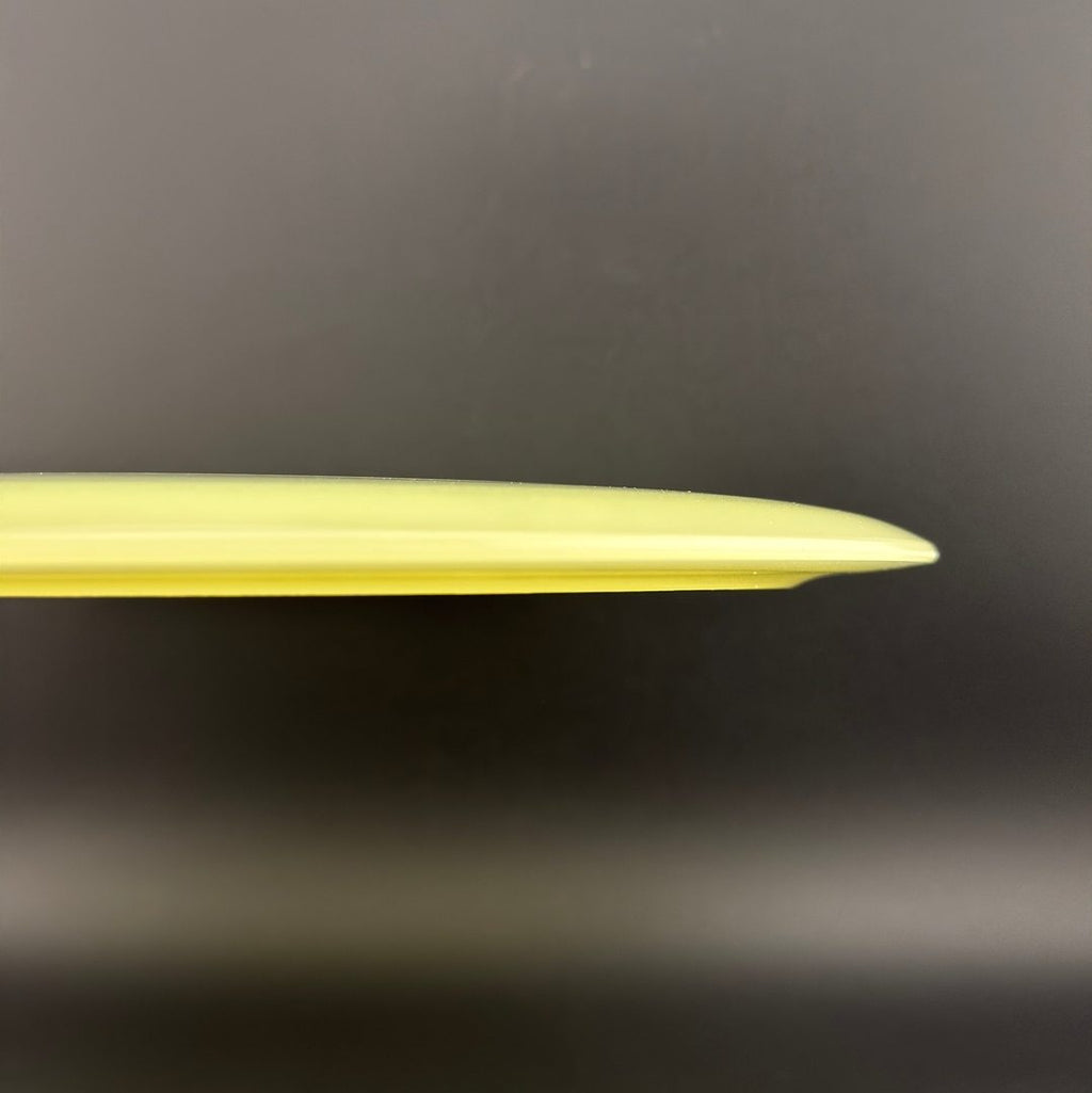 Proto Glow Champion Tern