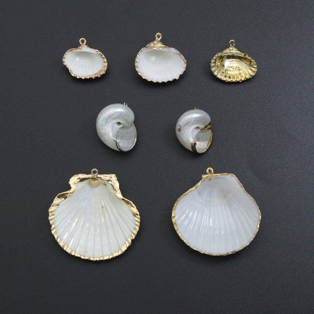 Associated Natural Seashell Pendant charm, Gold Trim Shell pendant charm, Assorted Seashells, Sku#EF823
