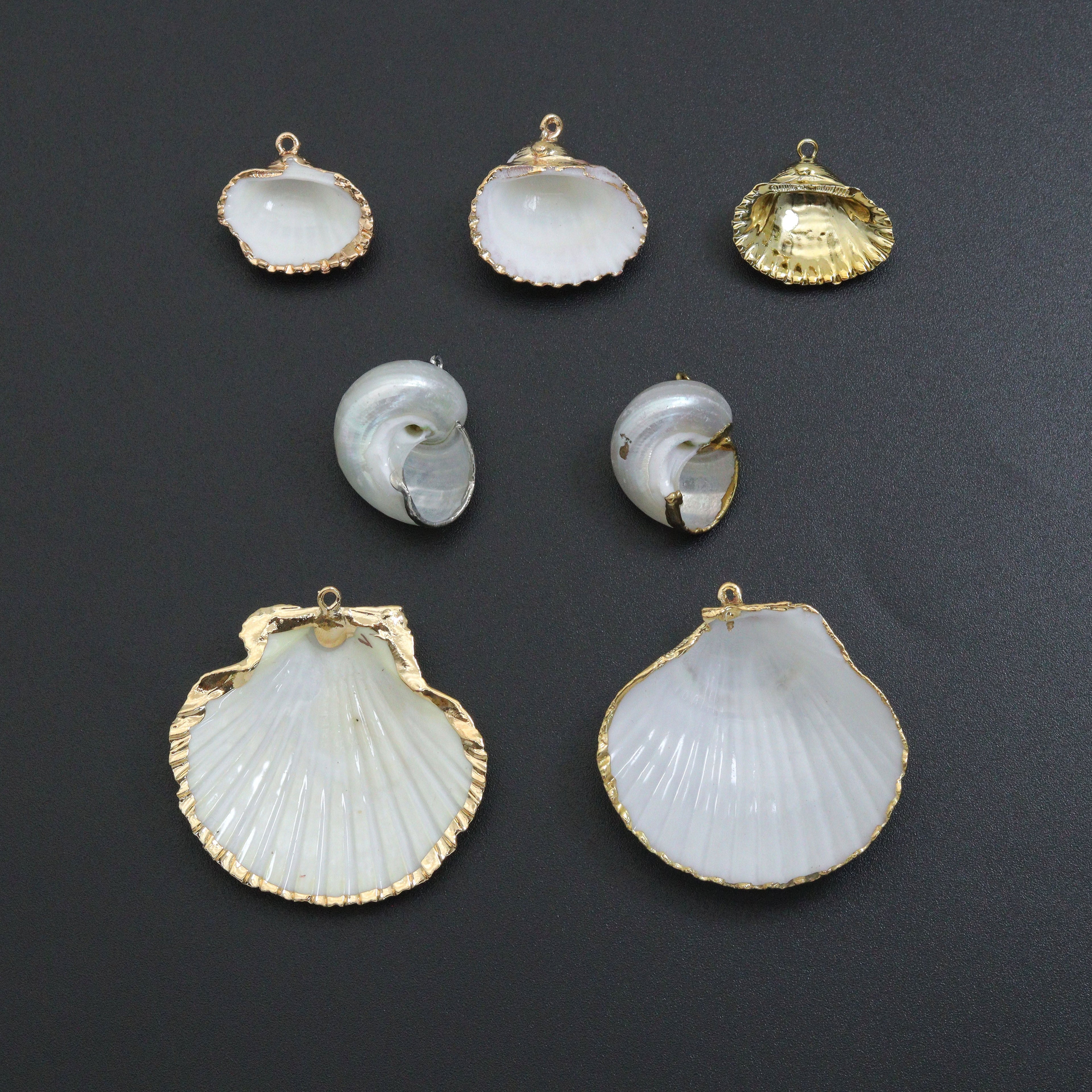 Associated Natural Seashell Pendant charm, Gold Trim Shell pendant charm, Assorted Seashells, Sku#EF823