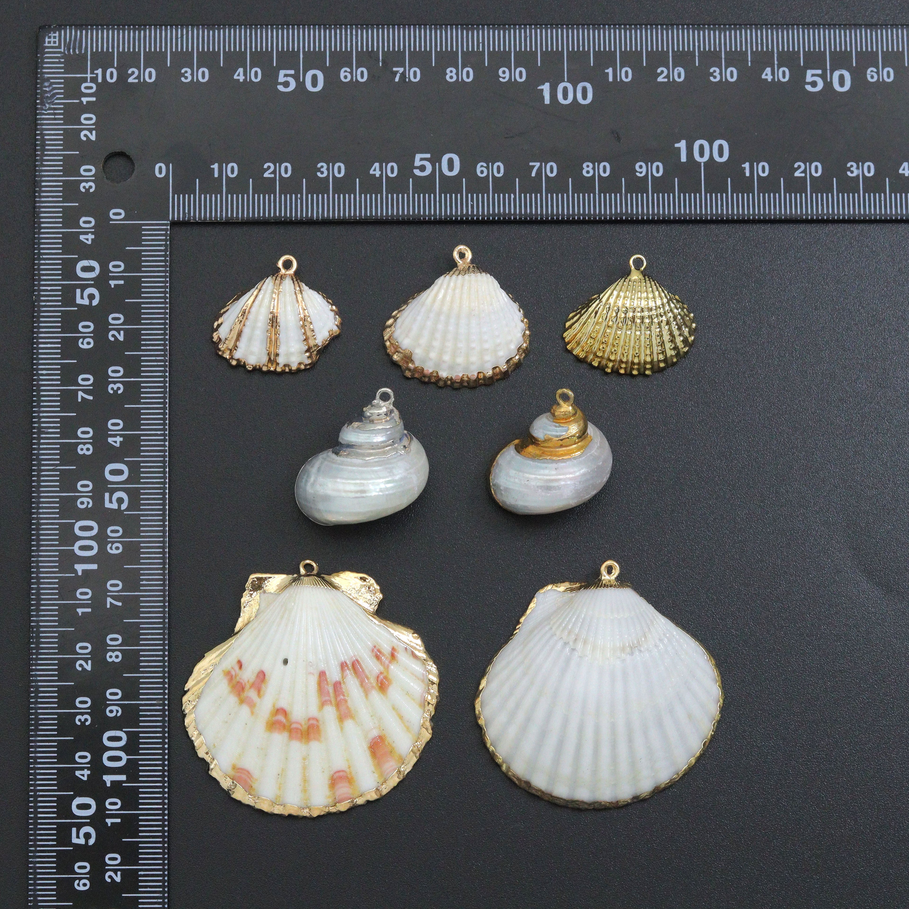 Associated Natural Seashell Pendant charm, Gold Trim Shell pendant charm, Assorted Seashells, Sku#EF823