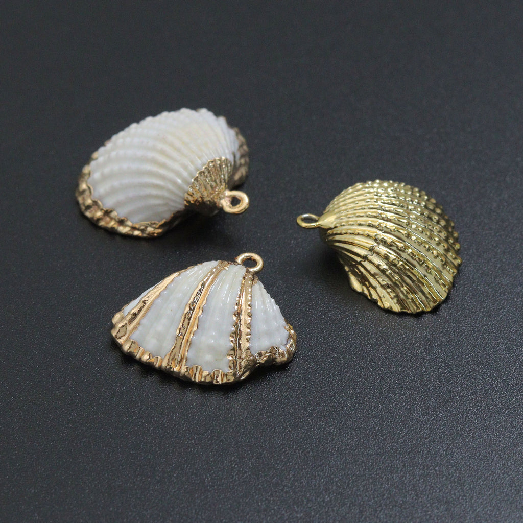 Associated Natural Seashell Pendant charm, Gold Trim Shell pendant charm, Assorted Seashells, Sku#EF823