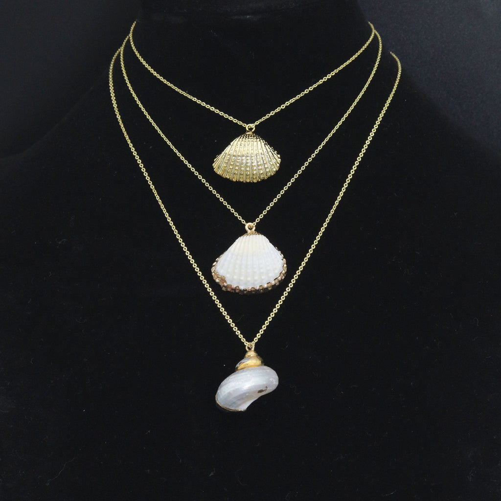 Associated Natural Seashell Pendant charm, Gold Trim Shell pendant charm, Assorted Seashells, Sku#EF823