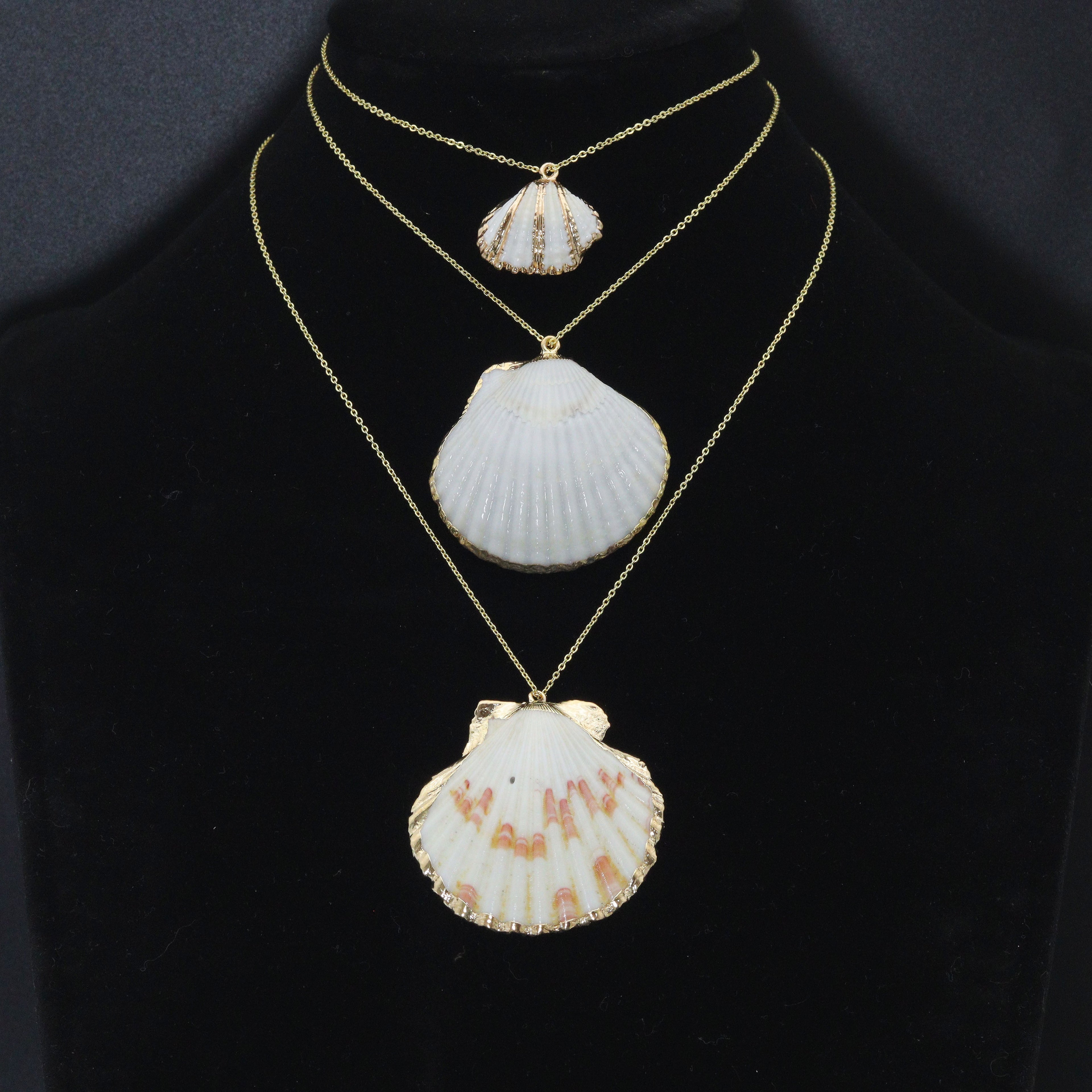 Associated Natural Seashell Pendant charm, Gold Trim Shell pendant charm, Assorted Seashells, Sku#EF823