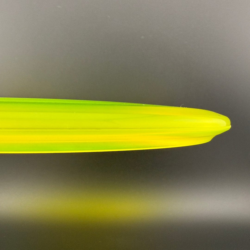 Champion Shark3 (Penned) - F2