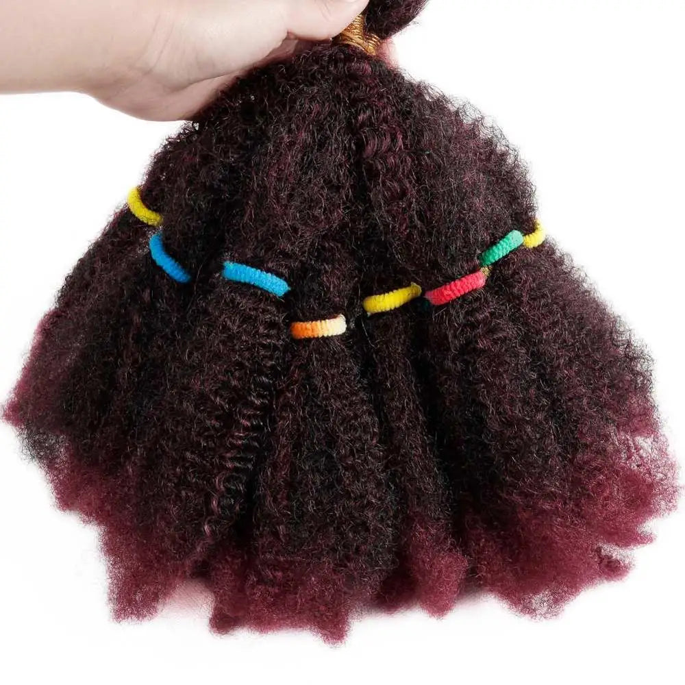 Cheveux synthétiques crépus givrés de 12 pouces pour tresses au crochet | Extensions de cheveux courts et bouclés