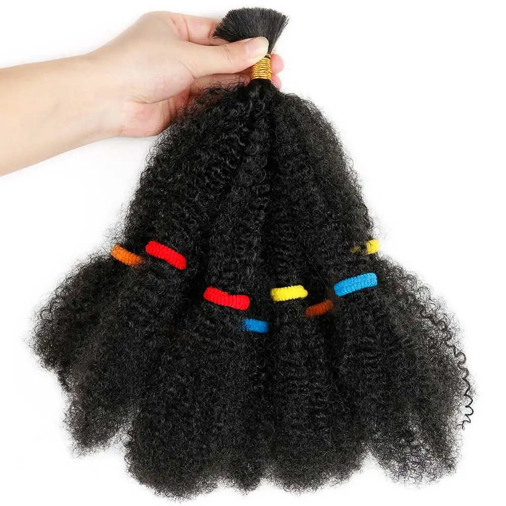 Cheveux synthétiques crépus givrés de 12 pouces pour tresses au crochet | Extensions de cheveux courts et bouclés