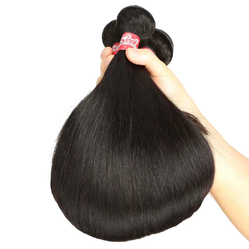 Lots de mèches brésiliennes lisses naturelles avec closure de 2x4 | Ensemble de 3 mèches et 1 closure