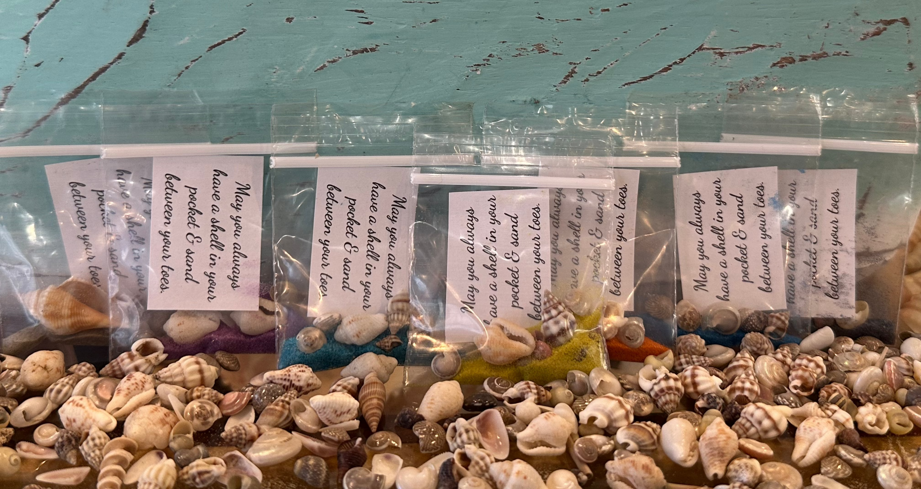Shell in Your Pocket Sand & Seashell Bag – Coastal Party Favor Gift