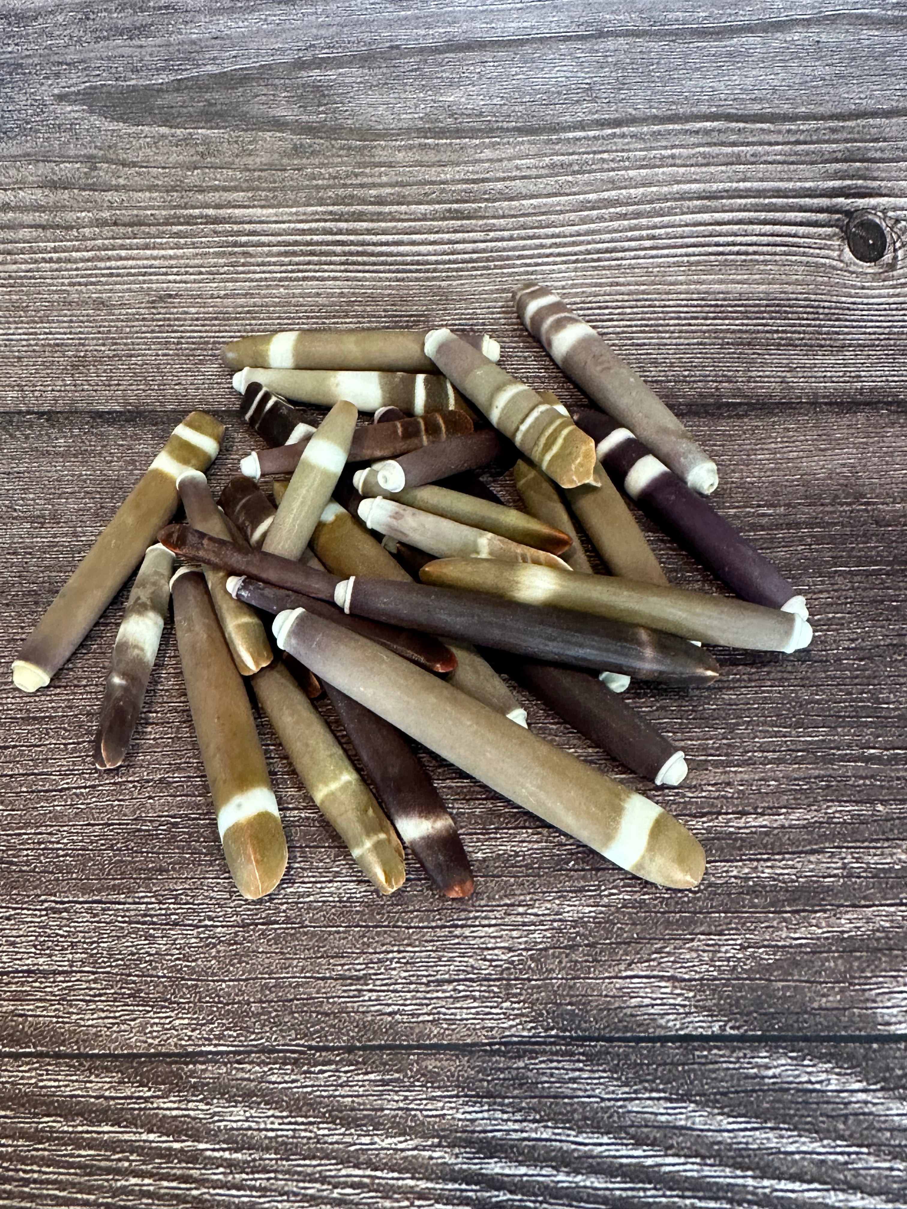 Grade A Pencil Sea Urchin Spines