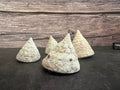 Calcium Covered Raw Commercial Top Shell 2-3"