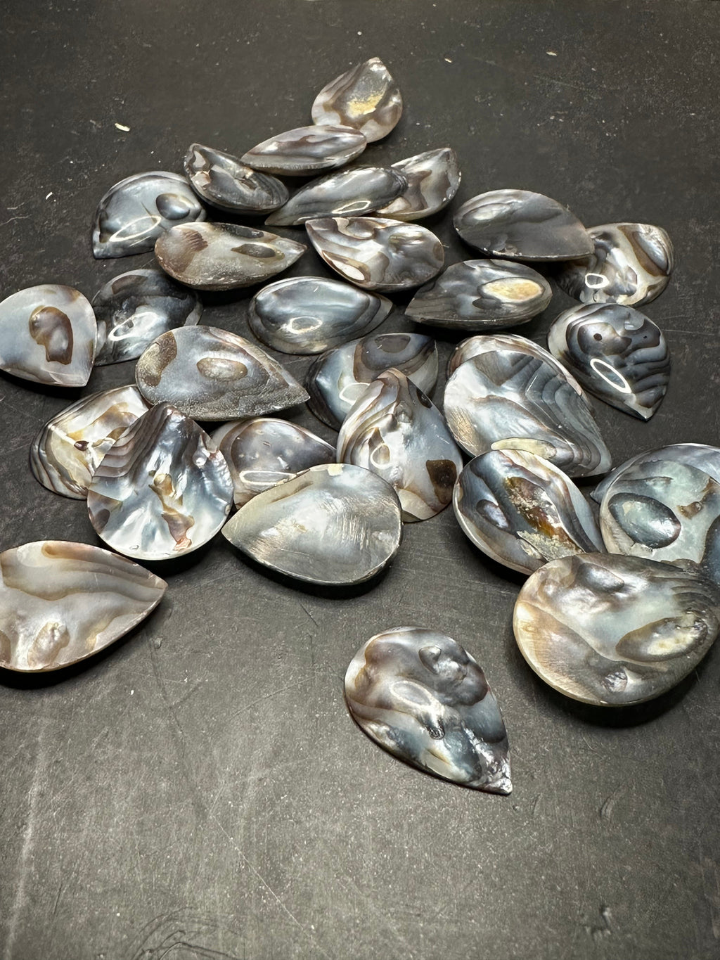 Carved River Clam Jewelry Pendant Cabochon