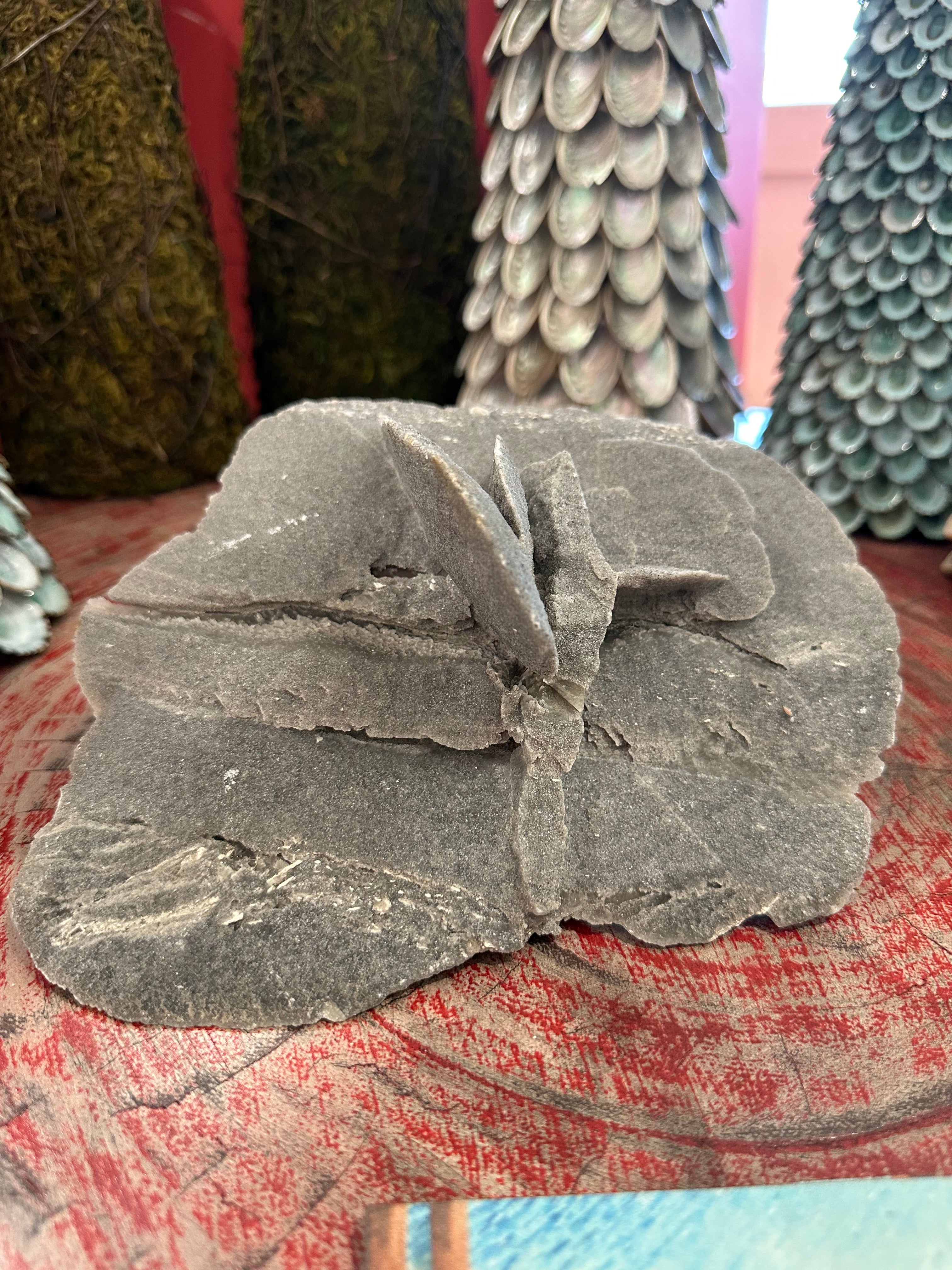 Elephant Ear Selenite Gypsum Quartz Mineral