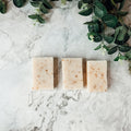 Tea Tree Mint Exfoliating Soap Bar With Peppermint Leaves Shea Butter Natural Oils Refreshing