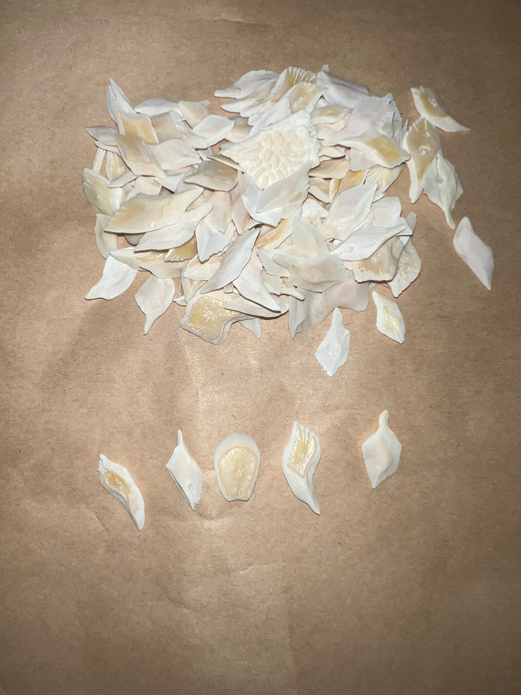 Gar Scales