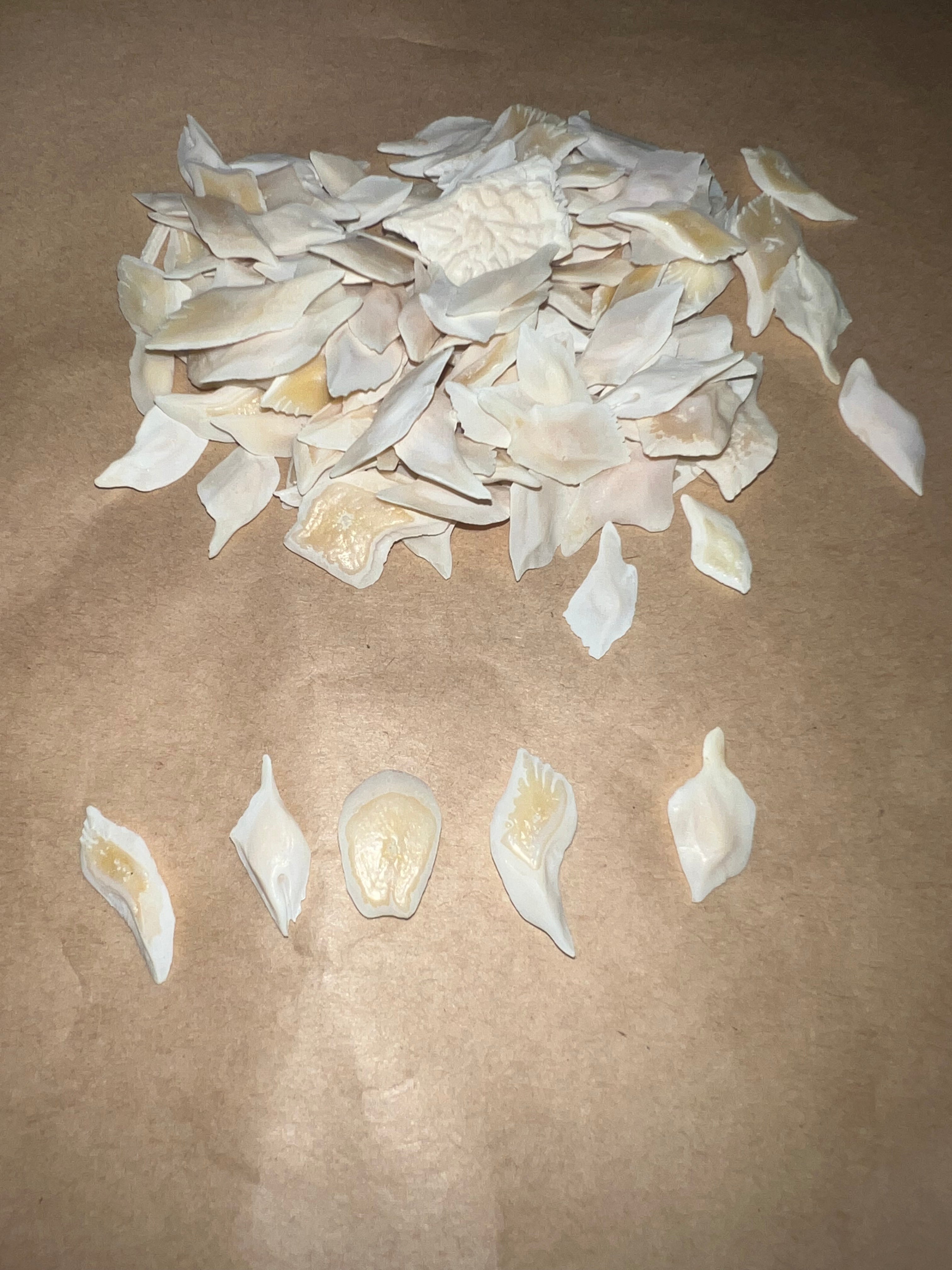 Gar Scales