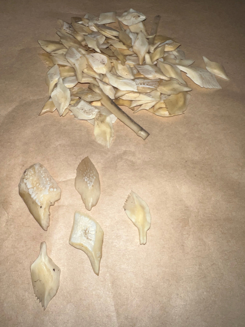 Gar Scales