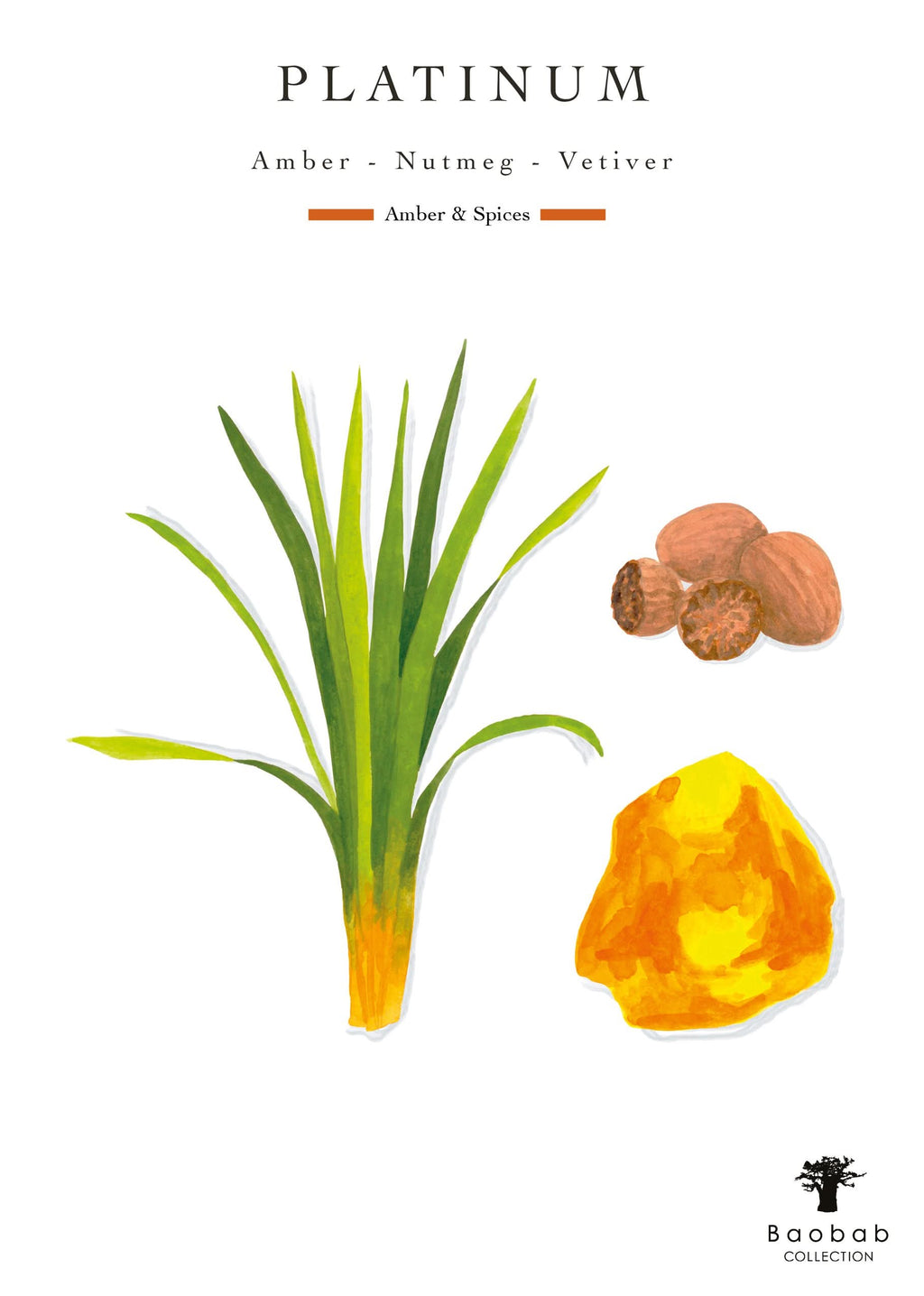 Baobab Collection Platinum Max 24 Candle