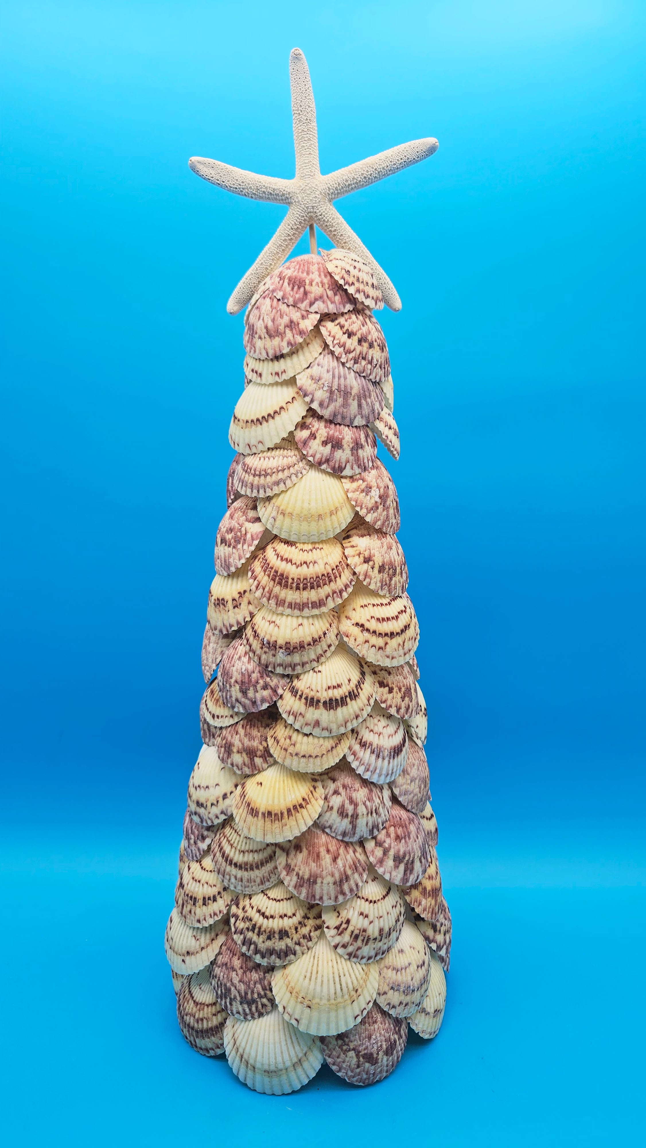 18.75" Scallop Shell Christmas Tree with Starfish Topper