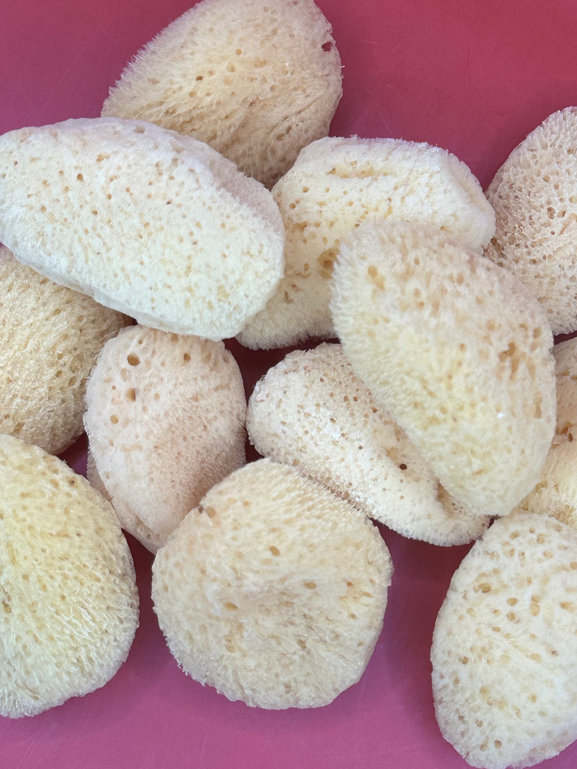 Natural Cosmetic Sea Sponge – 2–2.5"